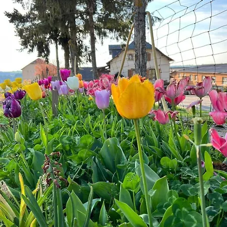 Semesterbostad La Biscontarie *