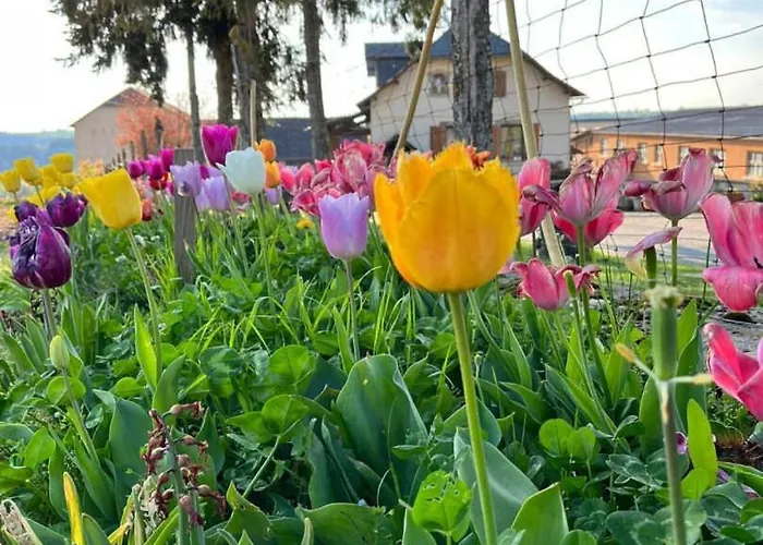 Casa vacanze La Biscontarie *